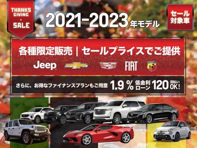 Jeep RENEGADE 2022-09 27945-1
