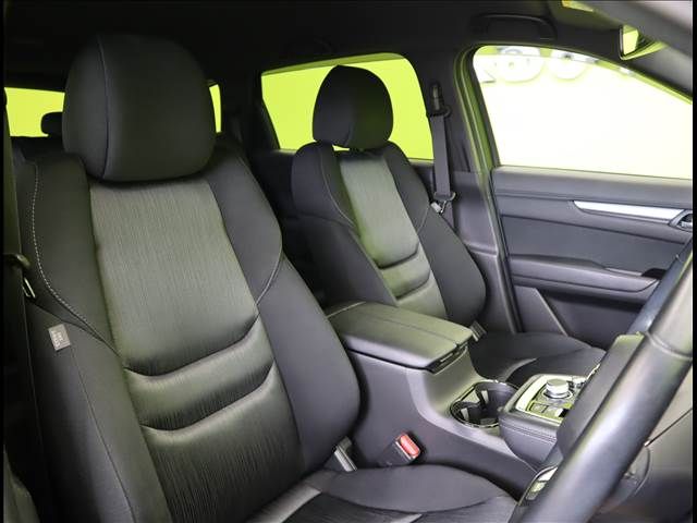 Mazda CX-8 2019-02 11095-21