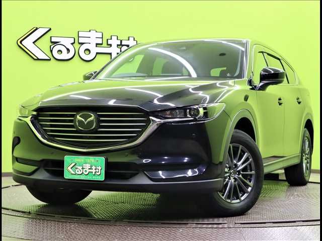 Mazda CX-8 2019-02 11095-0