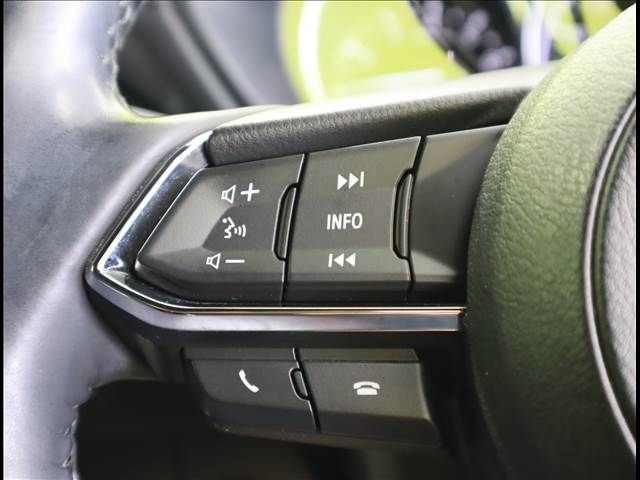 Mazda CX-8 2019-02 11095-9