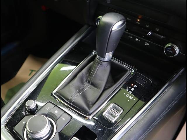 Mazda CX-8 2019-02 11095-17