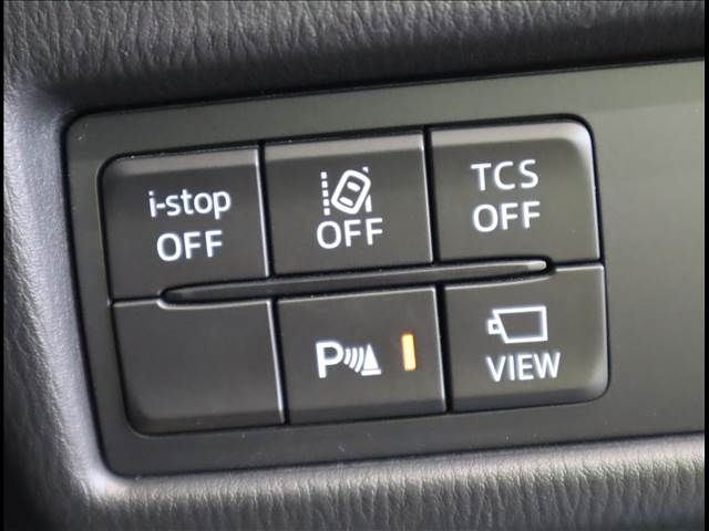 Mazda CX-8 2019-02 11095-14