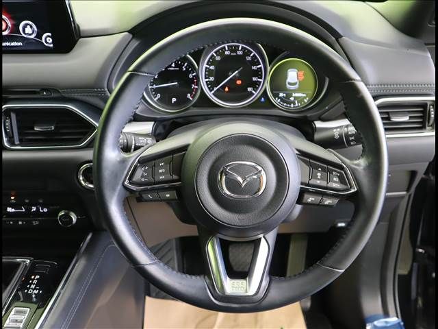 Mazda CX-8 2019-02 11095-8
