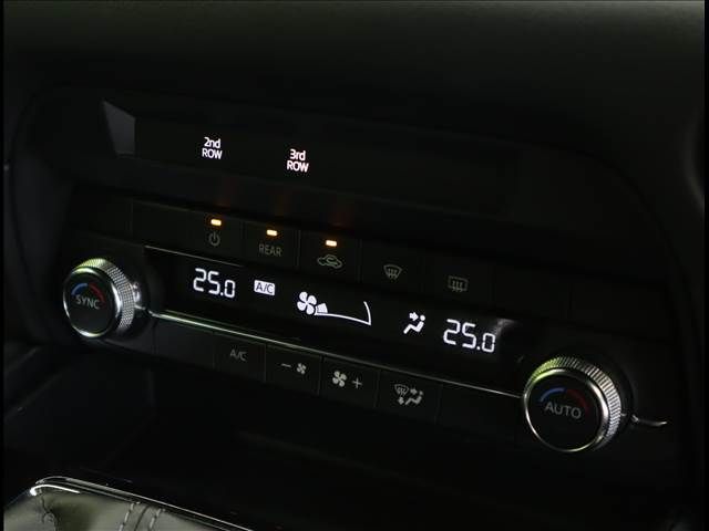 Mazda CX-8 2019-02 11095-13