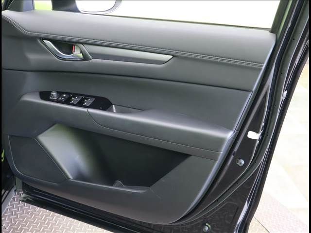 Mazda CX-8 2019-02 11095-22