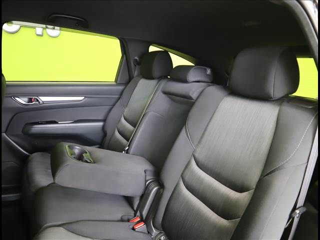 Mazda CX-8 2019-02 11095-29