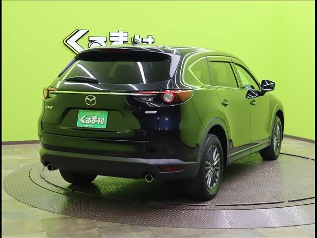 Mazda CX-8 2019-02 11095-1