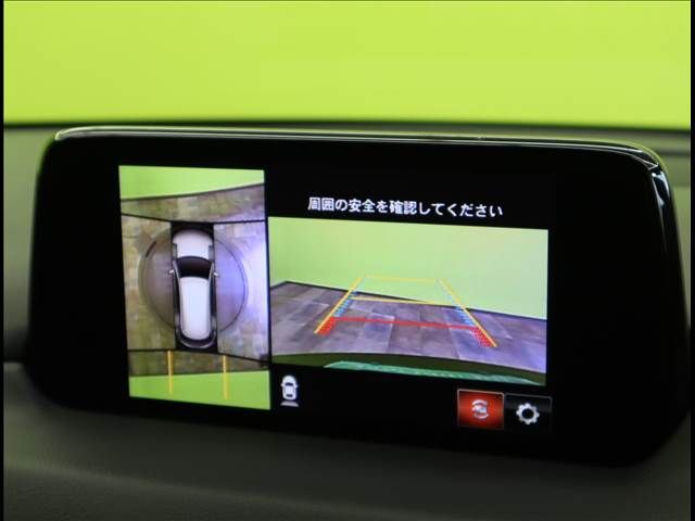 Mazda CX-8 2019-02 11095-4