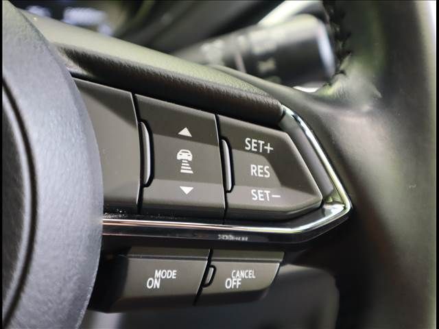 Mazda CX-8 2019-02 11095-10