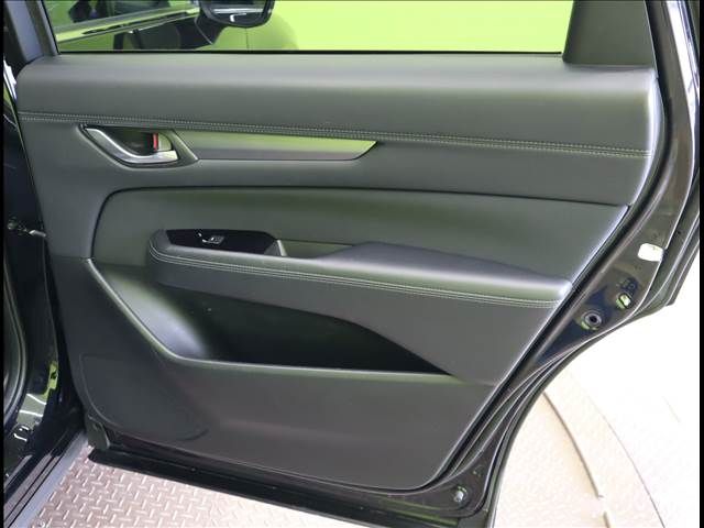 Mazda CX-8 2019-02 11095-25