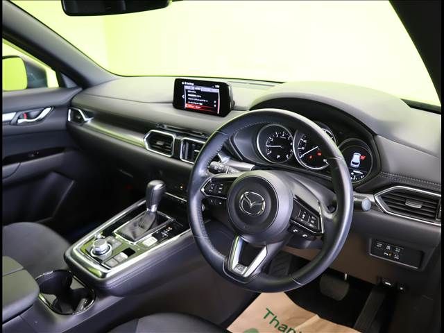 Mazda CX-8 2019-02 11095-18