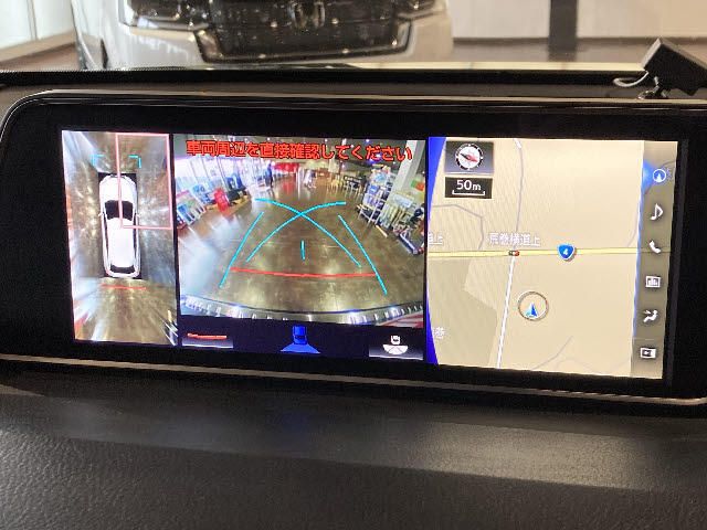 Lexus RX 2016-04 8088-4
