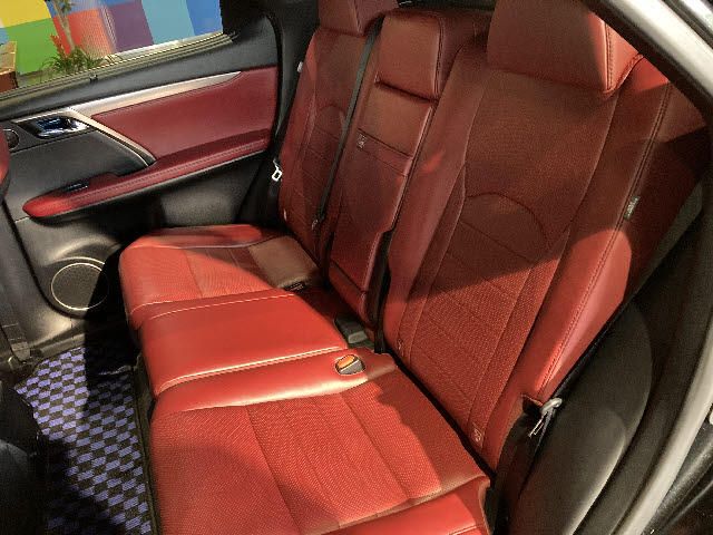 Lexus RX 2016-04 8088-19