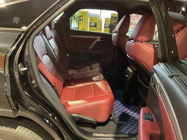 Lexus RX 2016-04 8088-17