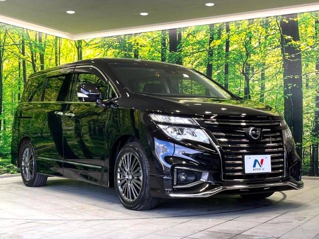 Nissan ELGRAND 2019-03 186753-18