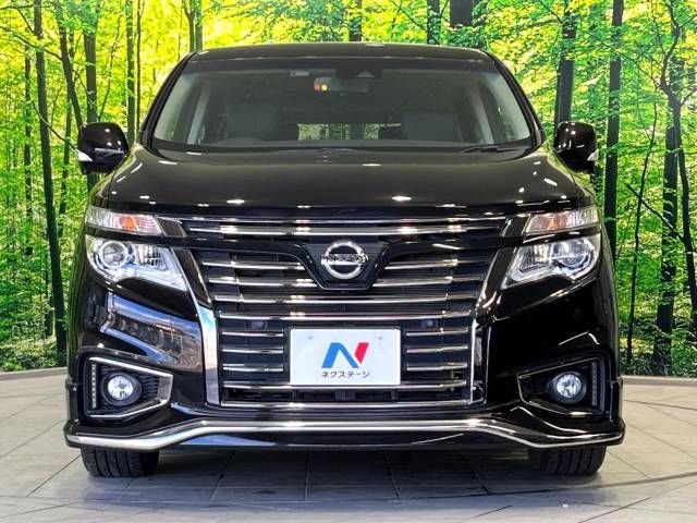 Nissan ELGRAND 2019-03 186753-16