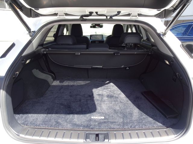 Lexus RX 2020-06 22622-17