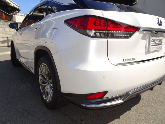 Lexus RX 2020-06 22622-8