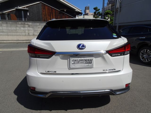 Lexus RX 2020-06 22622-3