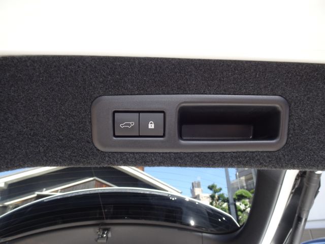 Lexus RX 2020-06 22622-18