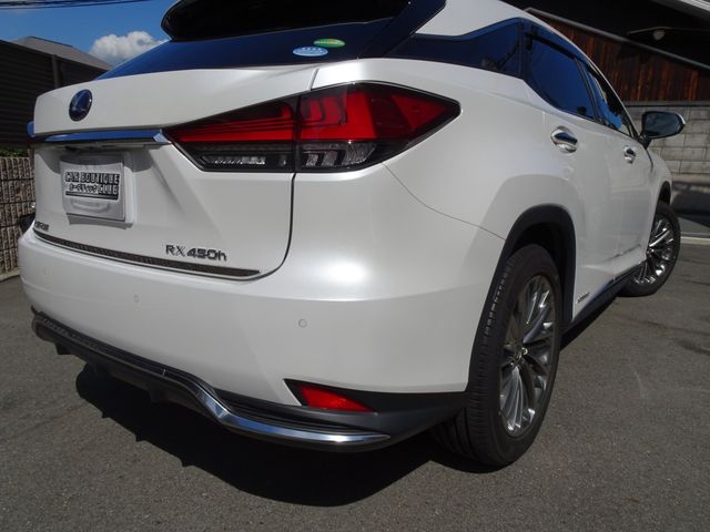 Lexus RX 2020-06 22622-9