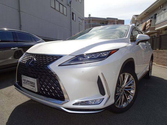 Lexus RX 2020-06 22622-0