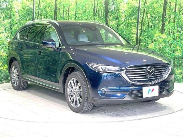 Mazda CX-8 2018-11 184423-16