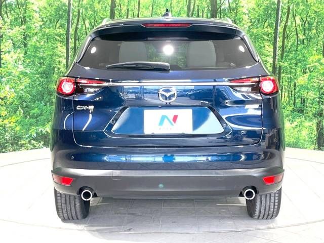 Mazda CX-8 2018-11 184423-15
