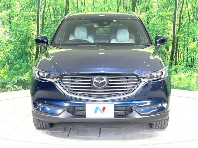 Mazda CX-8 2018-11 184423-14
