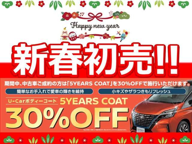 Nissan DAYZ ROOX 2019-03 195934-3