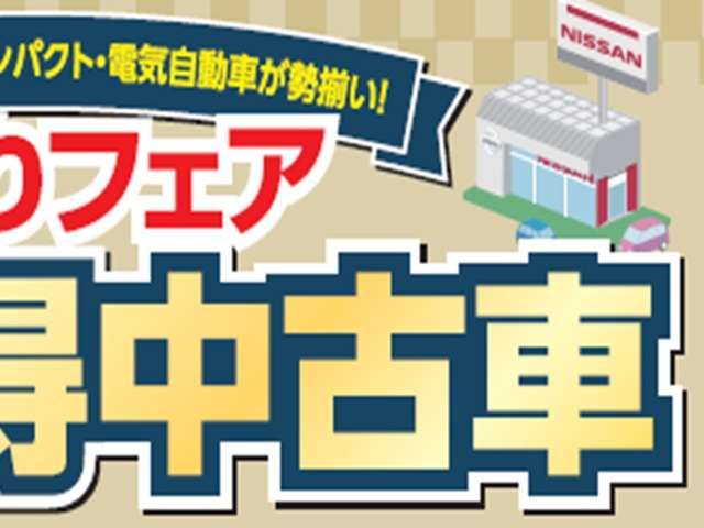 Nissan DAYZ ROOX 2019-03 195934-2