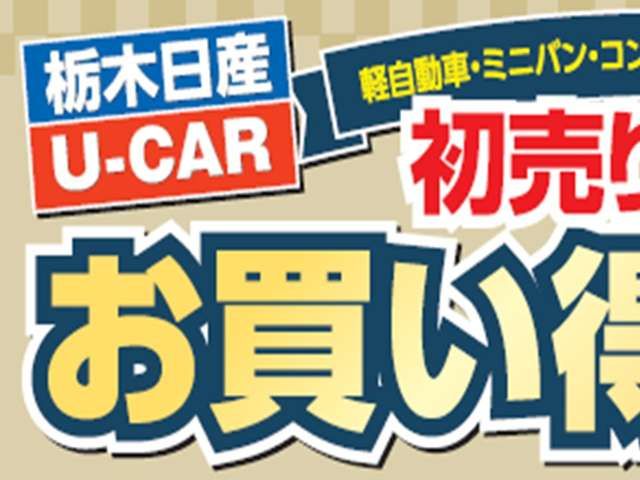Nissan DAYZ ROOX 2019-03 195934-1