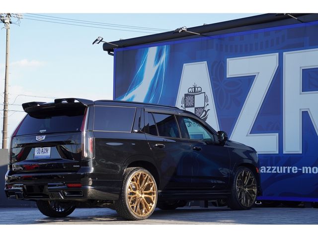 Cadillac ESCALADE 2021-10 13941-11