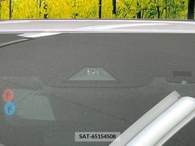 Toyota ALPHARD 2022-06 244409-2