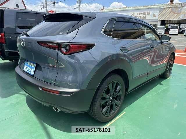 Mazda CX-30 2022-02 382734-11
