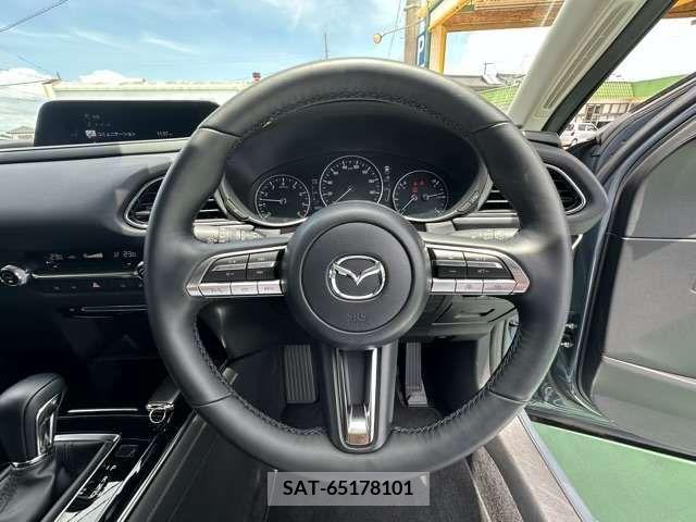 Mazda CX-30 2022-02 382734-19