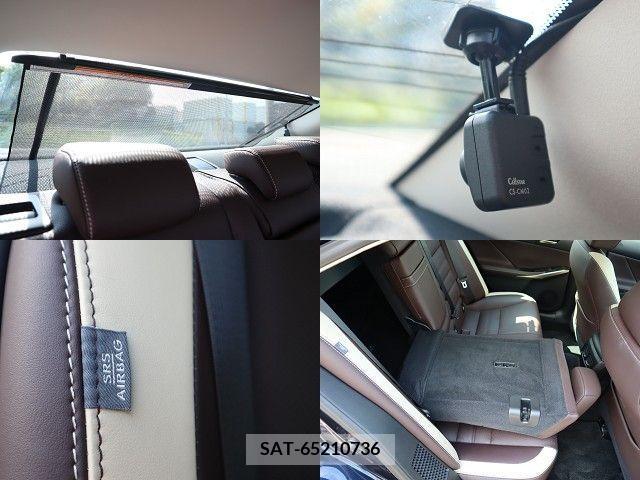 Lexus IS 2019-09 391854-24