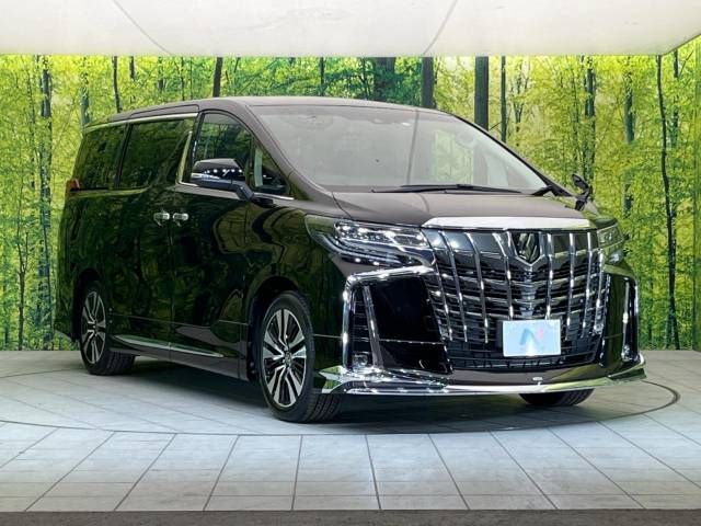 Toyota ALPHARD 2022-07 188359-17