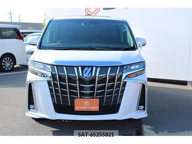 Toyota ALPHARD 2018-02 299419-5