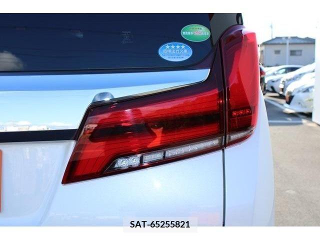 Toyota ALPHARD 2018-02 299419-10