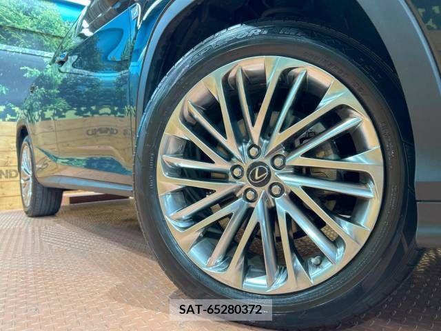 Lexus RX 2020-12 224265-13