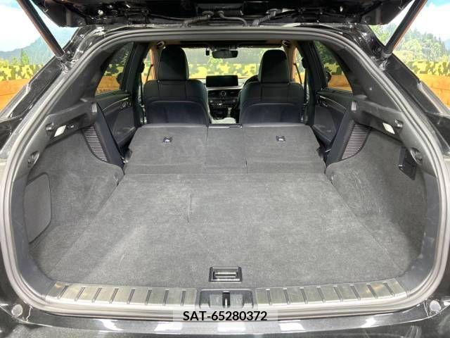 Lexus RX 2020-12 224265-10