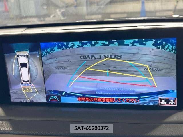 Lexus RX 2020-12 224265-4