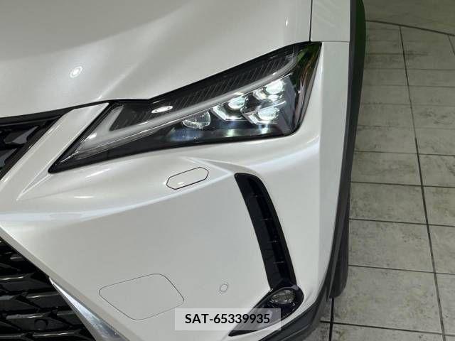 Lexus UX 2019-02 246216-12