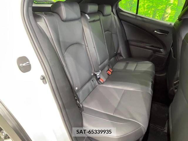 Lexus UX 2019-02 246216-9