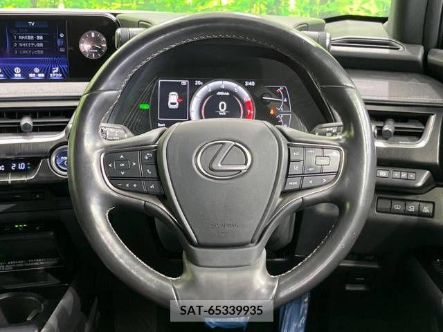 Lexus UX 2019-02 246216-11