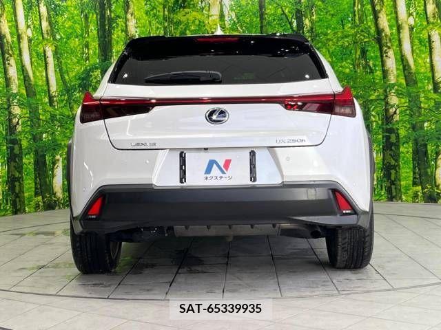 Lexus UX 2019-02 246216-15