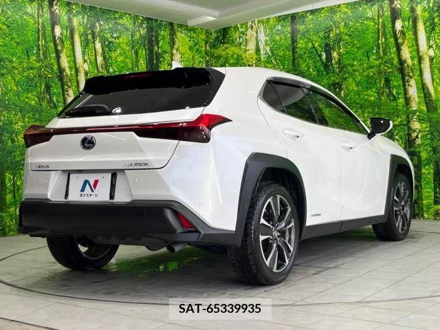 Lexus UX 2019-02 246216-17