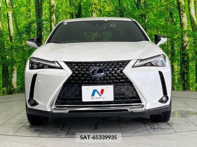 Lexus UX 2019-02 246216-14