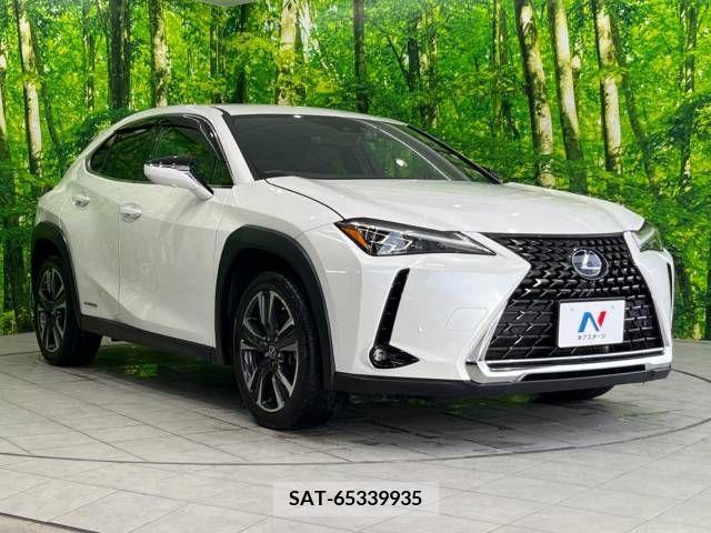 Lexus UX 2019-02 246216-16